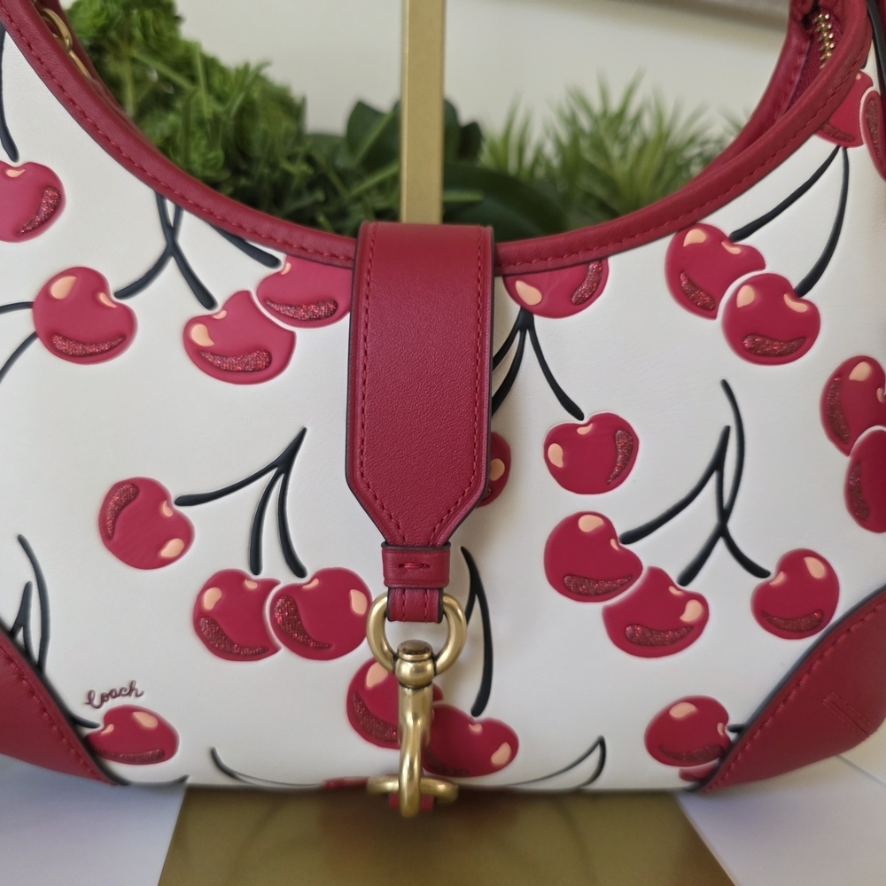 Coach Hamptons Hobo Cherry Print Bag/Y2K Archive Re-Edition-Like New - Picture 2 of 13